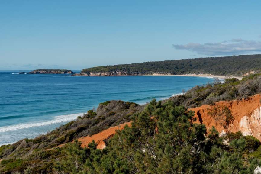 Ein Blick auf einen Strand mit Bäumen im Vordergrund