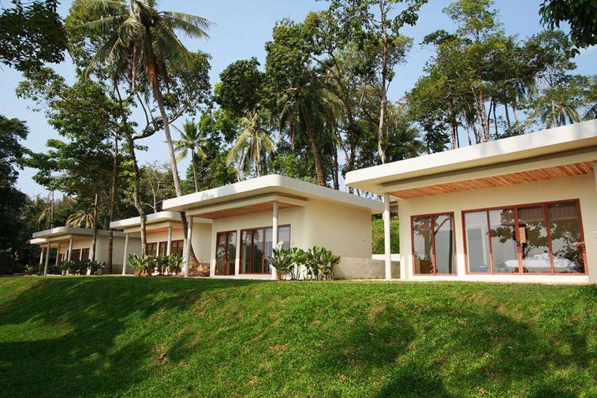 Mehrere Bungalows mit großen Glasfronten stehen auf einem grasbewachsenen Hang, umgeben von Palmen und üppiger Vegetation.