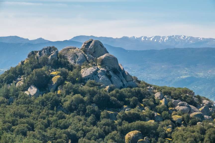 Ein felsiger, bewaldeter Bergkuppe mit schneebedeckten Bergen am Horizont.