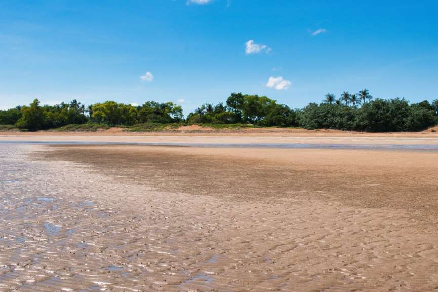 Ein Strand mit Palmen im Hintergrund und einem blauen Himmel