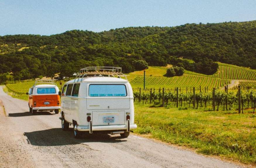 Zwei Campervans fahren auf einer Schotterstraße durch eine Weinlandschaft unter einem klaren blauen Himmel.
