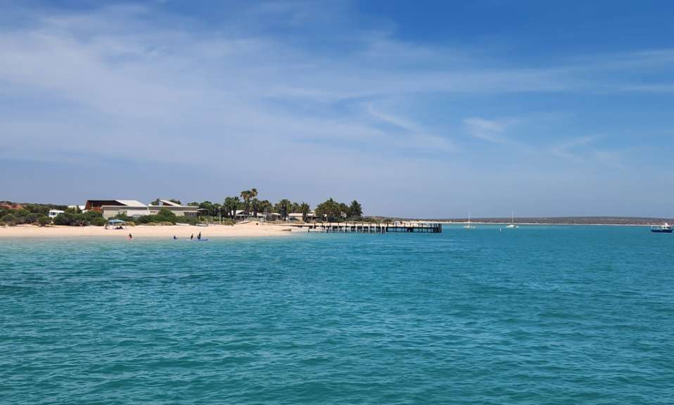 Eine Gruppe von Menschen schwimmt im Ozean in der Nähe eines Strandes