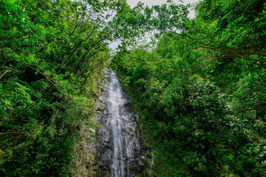 46 Meter hoch: Manoa Falls