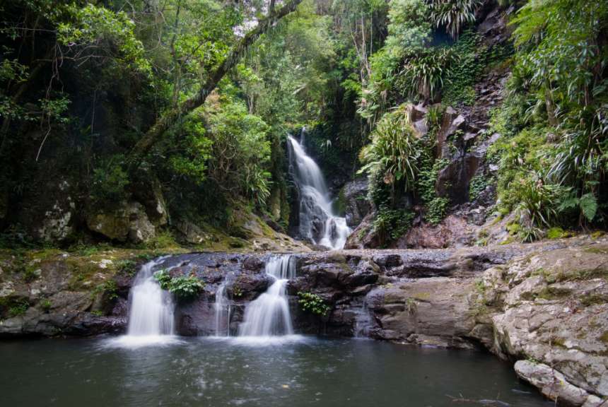 Ein Wasserfall stürzt in einen ruhigen Pool inmitten üppiger Vegetation.