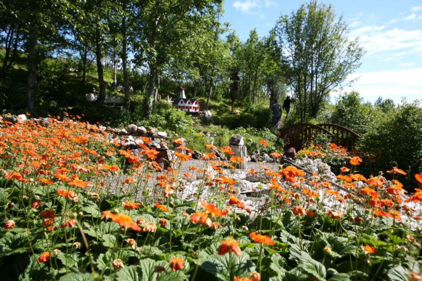 Ein Feld mit orangefarbenen Blumen und einem kleinen Haus im Hintergrund