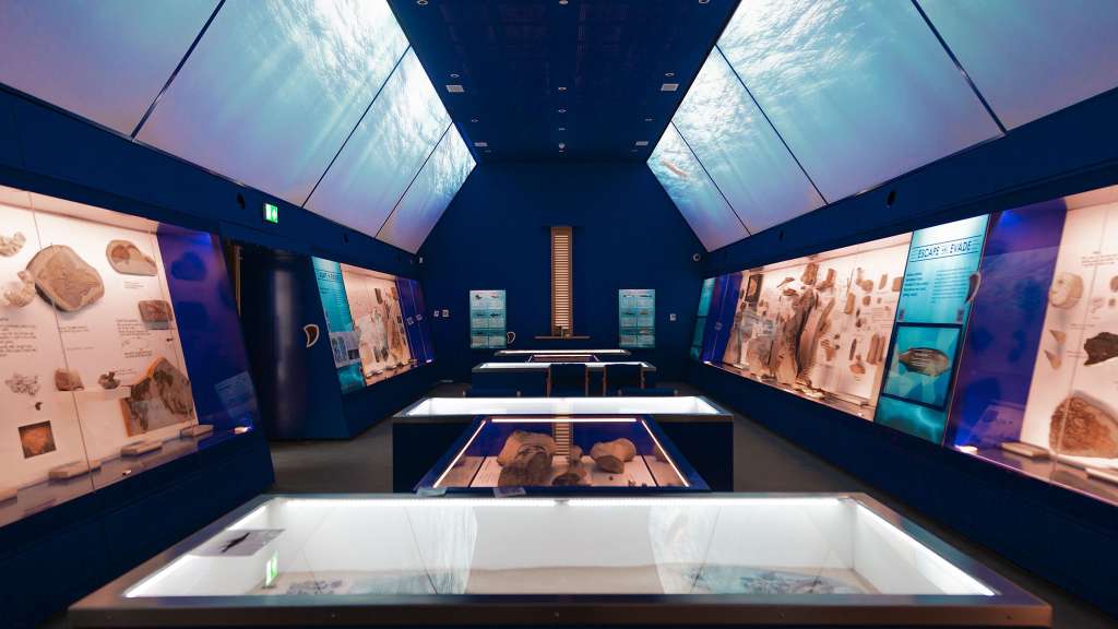 Museum of Jurassic Marine Life