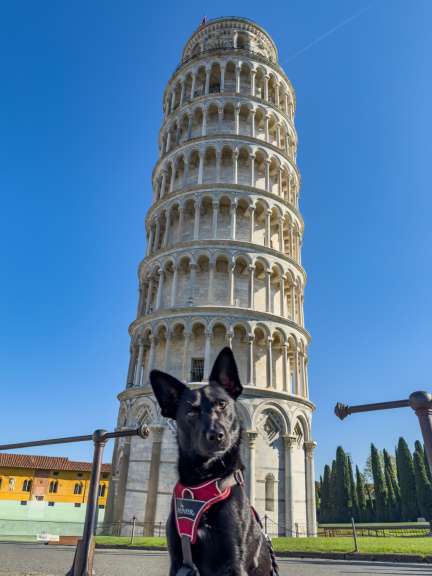 Kristin und Thomas Tiede mit Thorin