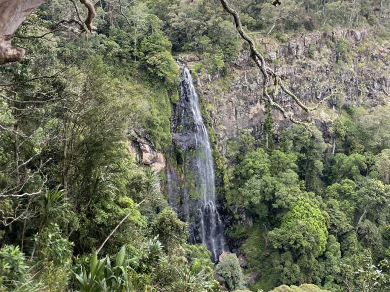 Ein hoher Wasserfall stürzt aus einer felsigen Klippe in einen dichten, grünen Wald.