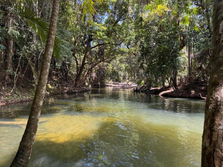 Mason's Swimming Hole