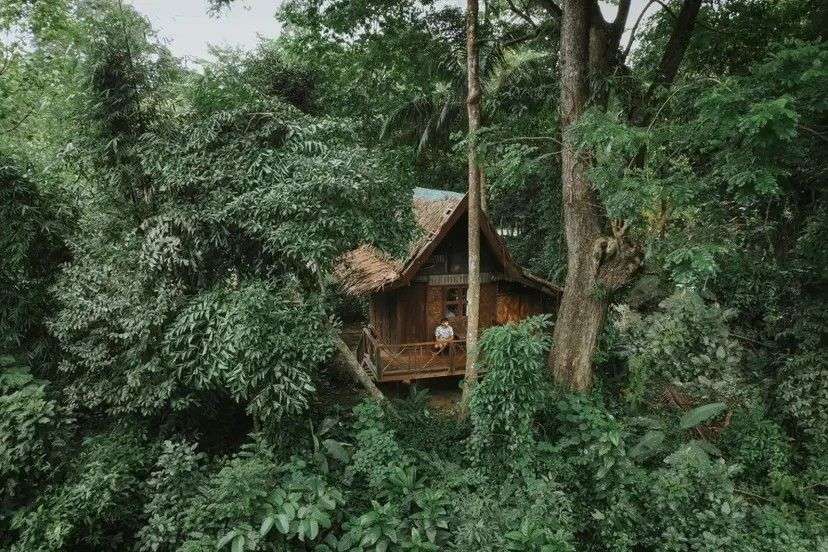 Ein Mann sitzt auf der Veranda einer Hütte, die von üppigem Grün umgeben ist.