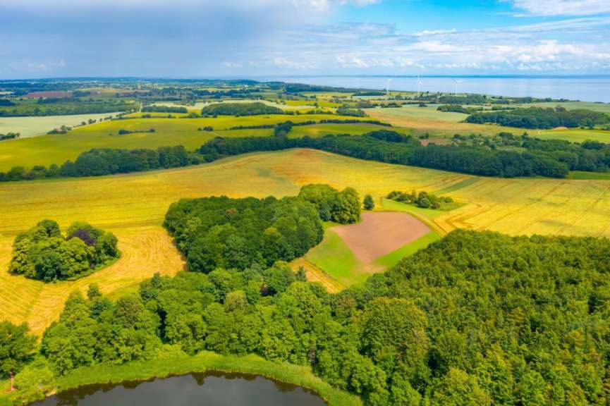 Landschaft auf Fünen