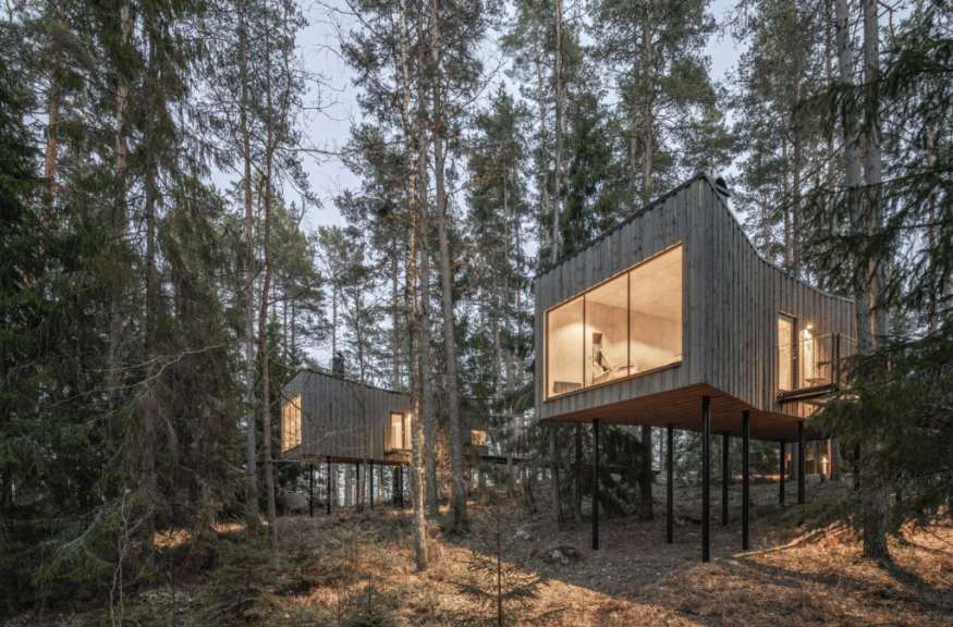 Zwei moderne Baumhäuser aus Holz mit großen Glasfenstern stehen auf Stelzen in einem Wald.