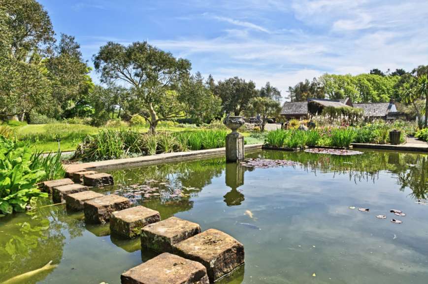 Ein gepflegter Garten mit einem Teich, Steinen als Trittsteine, Fischen und umgebender Vegetation an einem sonnigen Tag.