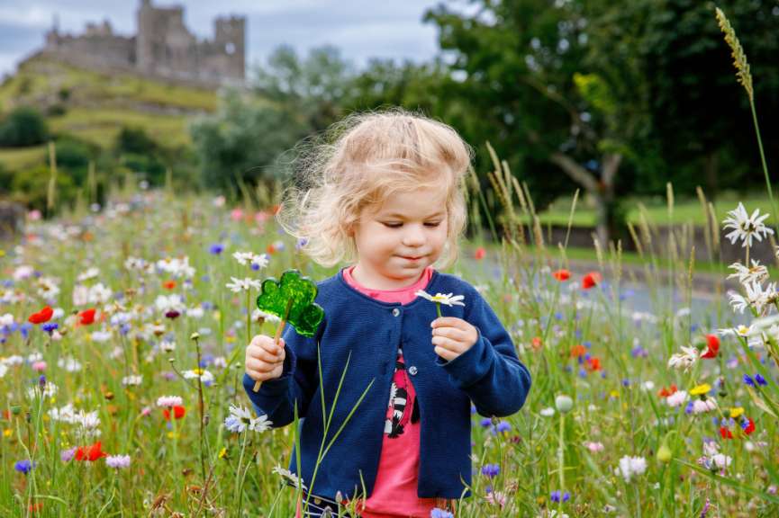 Irland Rundreise mit Kindern