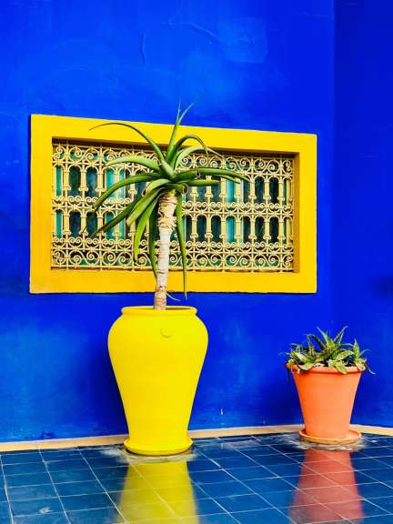 Svenja, Alina, Anette