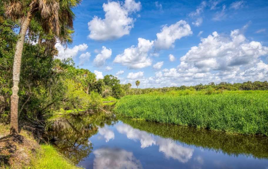 Ein Bach schlängelt sich durch eine grüne Landschaft unter einem strahlend blauen Himmel mit weißen Wolken.