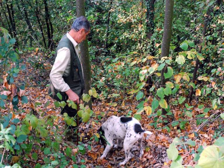 Authentisches Erlebnis: Trüffelspaziergang