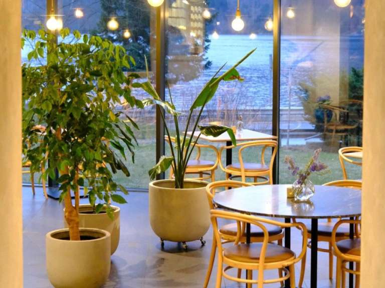 Ein großes grünes Zimmerpflanzen steht in einem Topf auf dem Boden neben einem runden Tisch mit Stühlen in einem Restaurant mit großen Fenstern, die auf einen See blicken.
