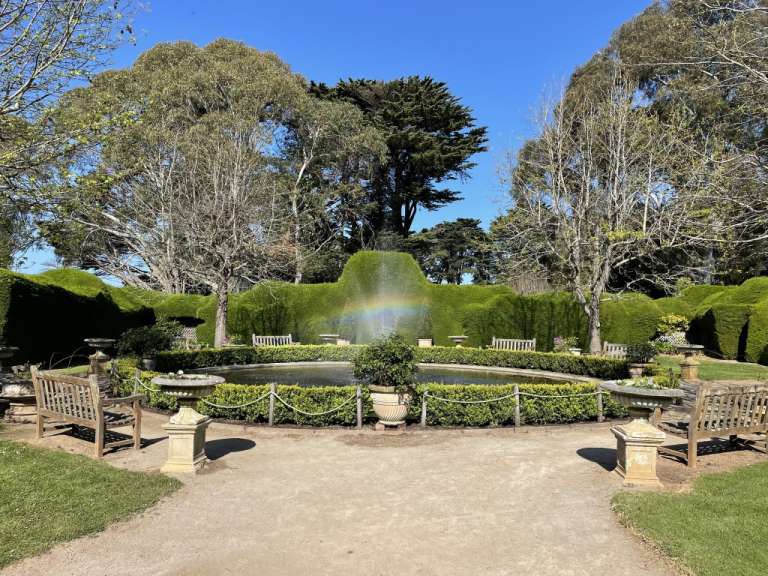 Ashcombe Maze & Lavender Gardens