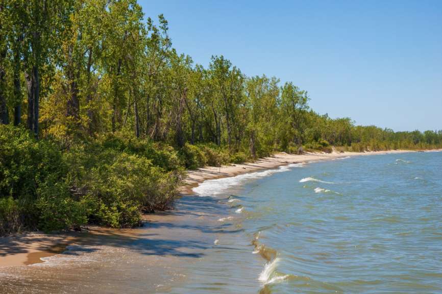 Ein ruhiger Strand mit Bäumen und dem Meer im Hintergrund.