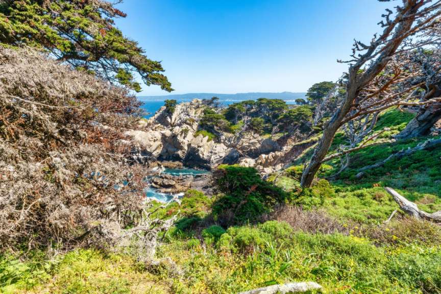 Point Lobos State Natural Reserve