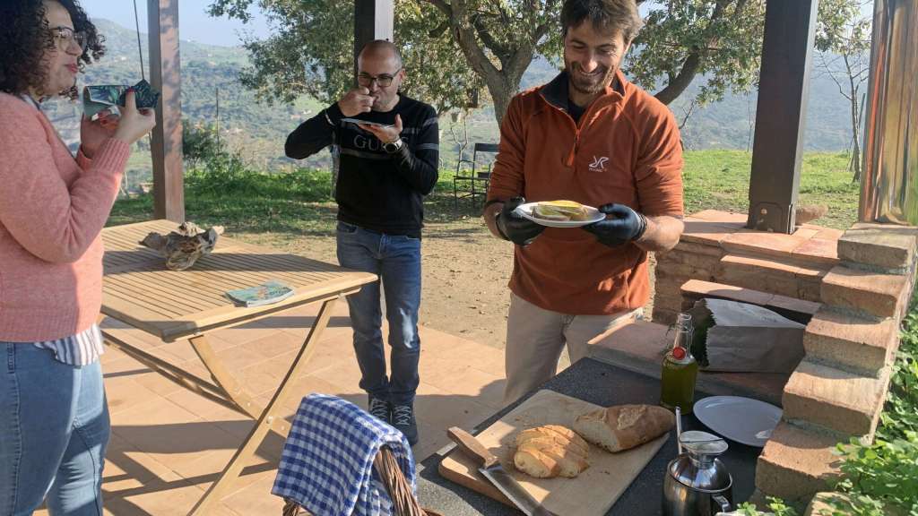 Olivenöl Verkostung in den Madonie Bergen