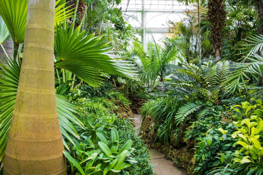 Phipps Conservatory and Botanical Gardens