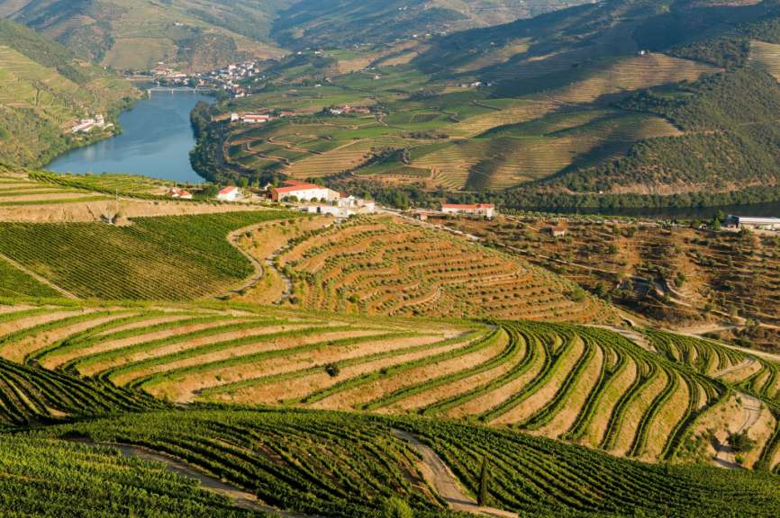 Terrassenförmige Weinberge im Douro-Tal, Pinhão