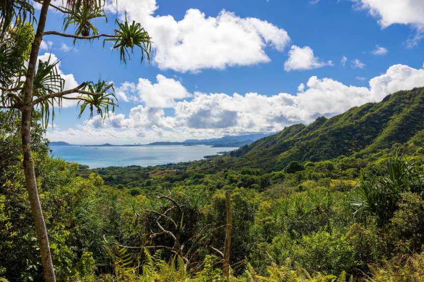 Ein üppiger, grüner Küstenwald erstreckt sich zu einem ruhigen, blauen Meer, das von bergreichen Inseln im Hintergrund gesäumt wird, unter einem dramatisch bewölkten blauen Himmel.