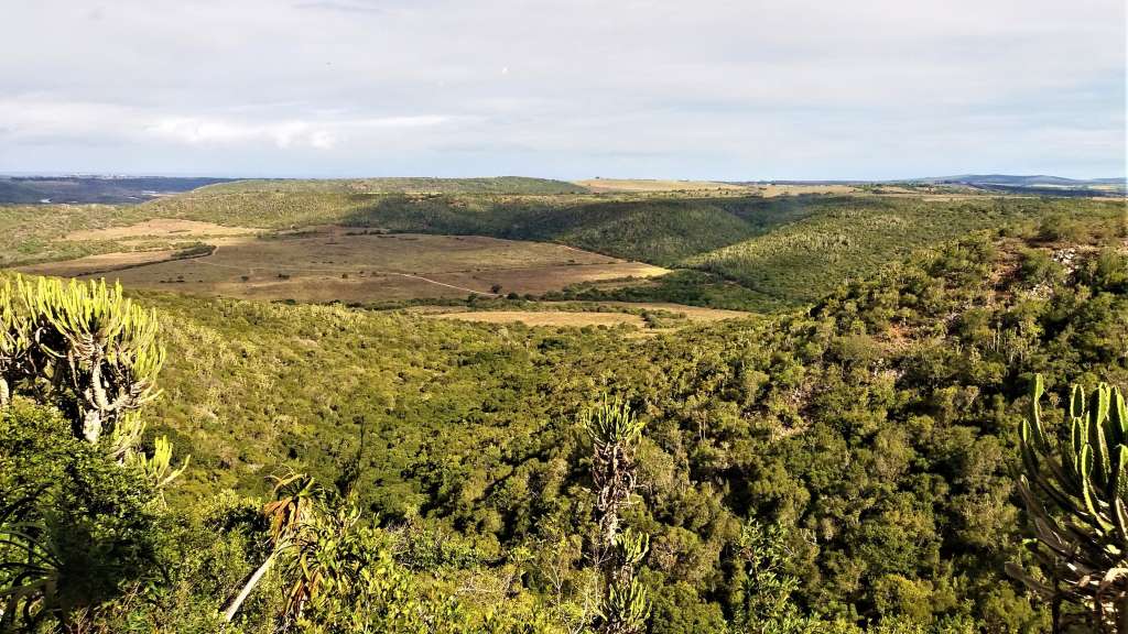 Kariega Game Reserve