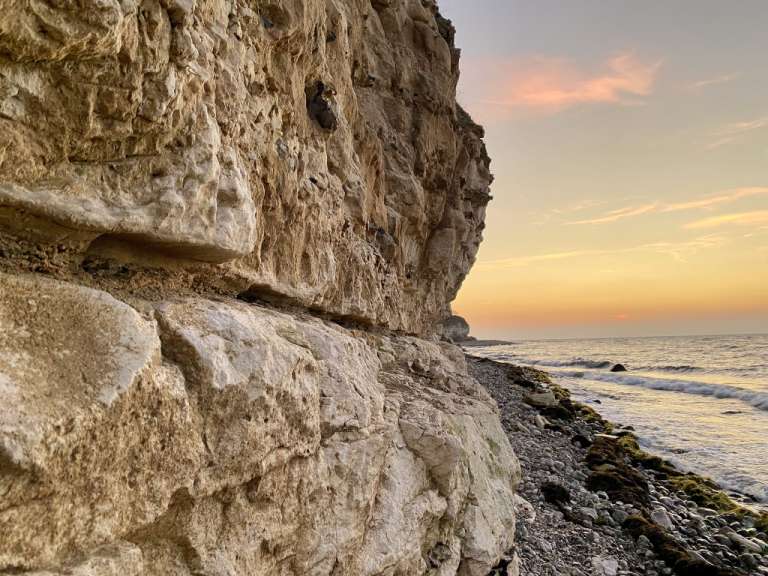 Eine Reise in die Erdgeschichte: Fossiliensuche