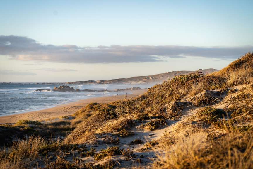 Westküste in Südafrika