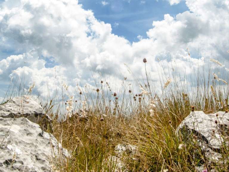 Auf dem Monte Cetona