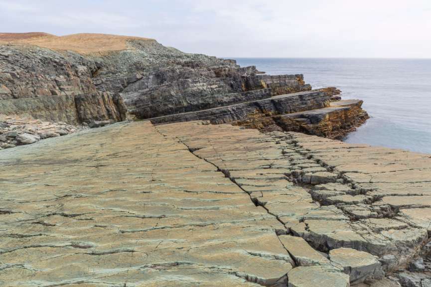Mistaken Point Ecological Reserve