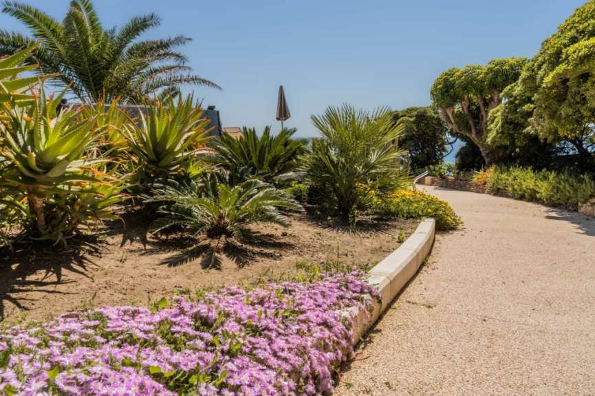 Ein Kiesweg schlängelt sich durch einen sonnenbeschienenen Garten mit Aloe-Pflanzen, Palmen und blühenden Kriechstochter.