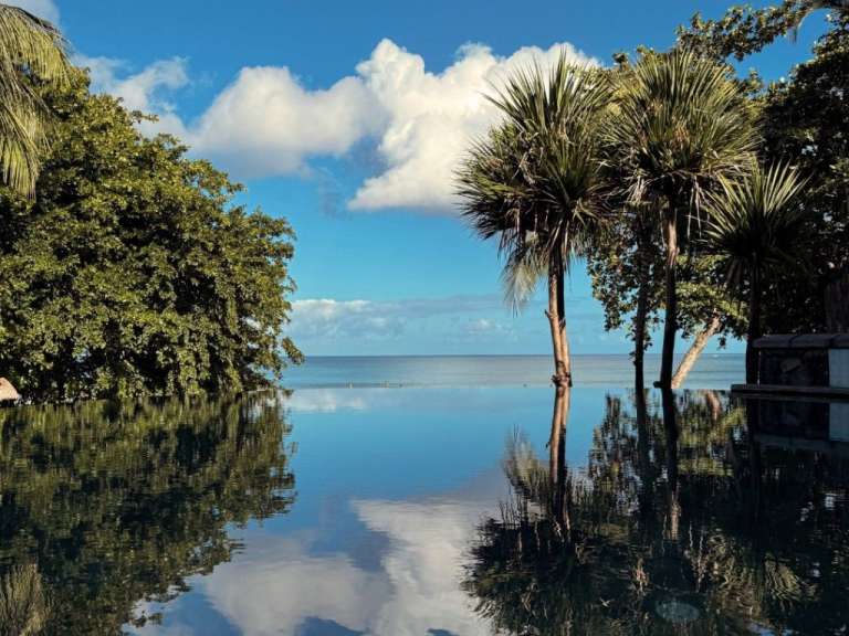 Ein Blick über einen Infinity-Pool auf das Meer, gesäumt von üppigem Grün und Palmen, bei strahlendem Sonnenschein und blauen Himmel mit Wolken.