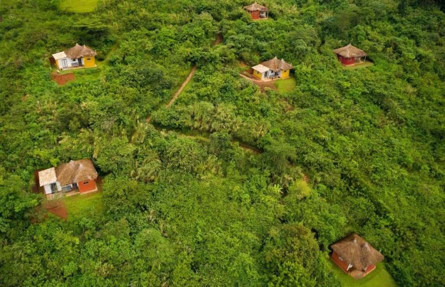 Inmitten von tropischem Grün: Isunga Lodge
