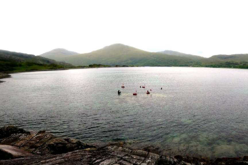 Menschen mit Bojen und Flaggen stehen im Wasser vor einer bergigen Küstenlandschaft.