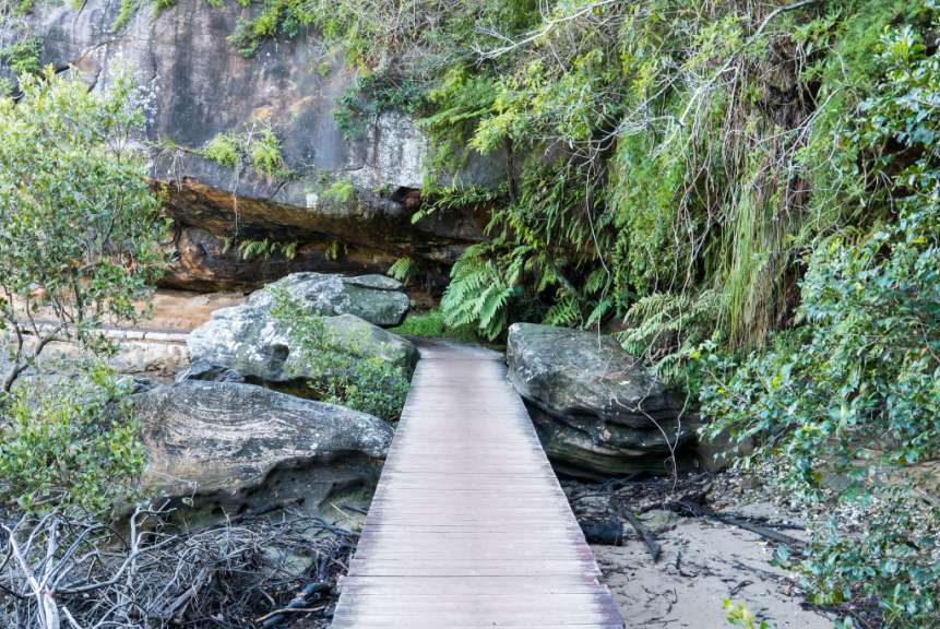 Manly Scenic Walkway
