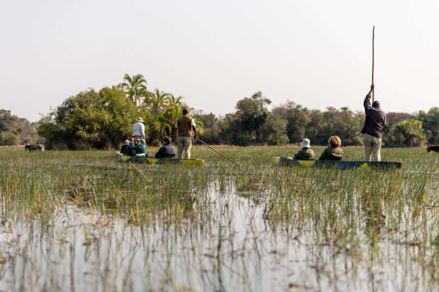 Im Einboot durch die Wildnis: Okavango Delta