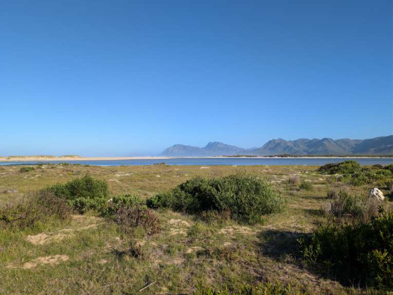 Ein klarer blauer Himmel überspannt eine weitläufige Landschaft mit sanften Hügeln, einem Gewässer und grünen Büschen im Vordergrund.