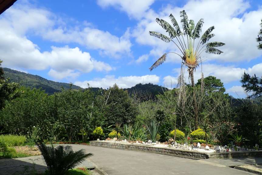 Ein tropischer Garten mit Palmen und üppiger Vegetation unter einem blauen Himmel mit Wolken.