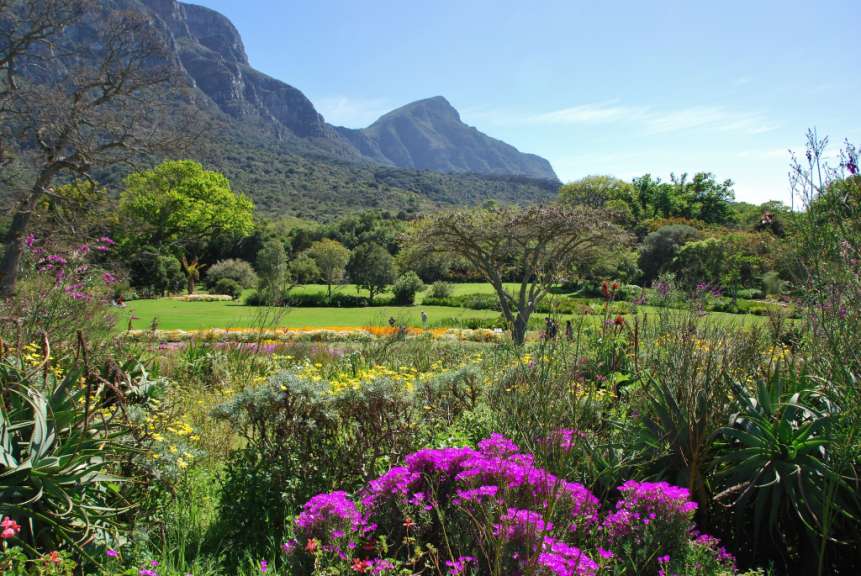 Kirstenbosch