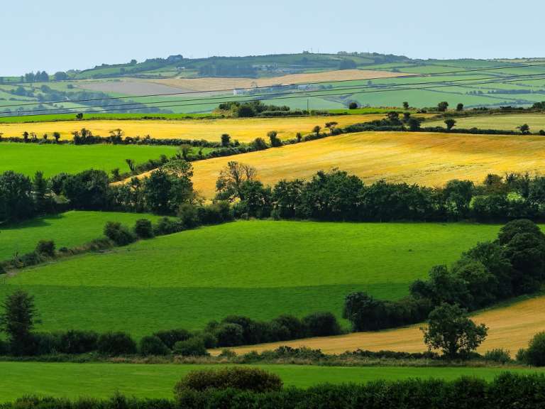 Landschaft im County Cork