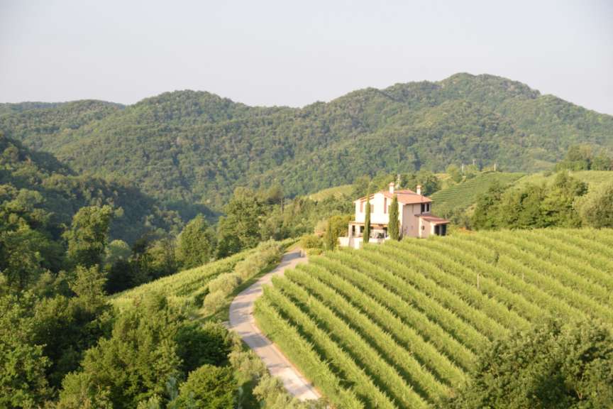 Maria