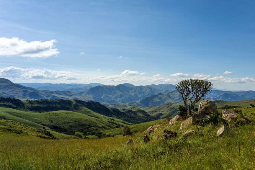 Ein landschaftliches Bild, das grüne Hügel und Berge zeigt, die sich in der Ferne in einem klaren blauen Himmel erheben, mit einem einzelnen Baum und Felsen im Vordergrund.
