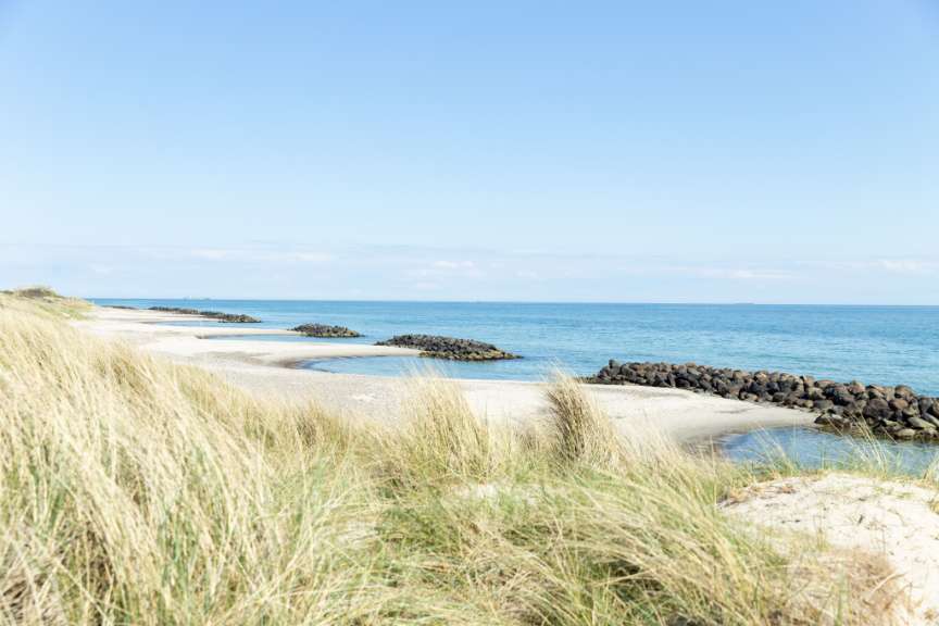 An einem Strand mit Dünen und Steinmolen am Meer ist der Himmel klar und blau.