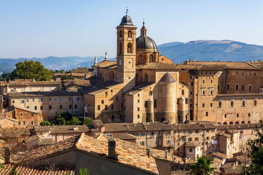 Urbino