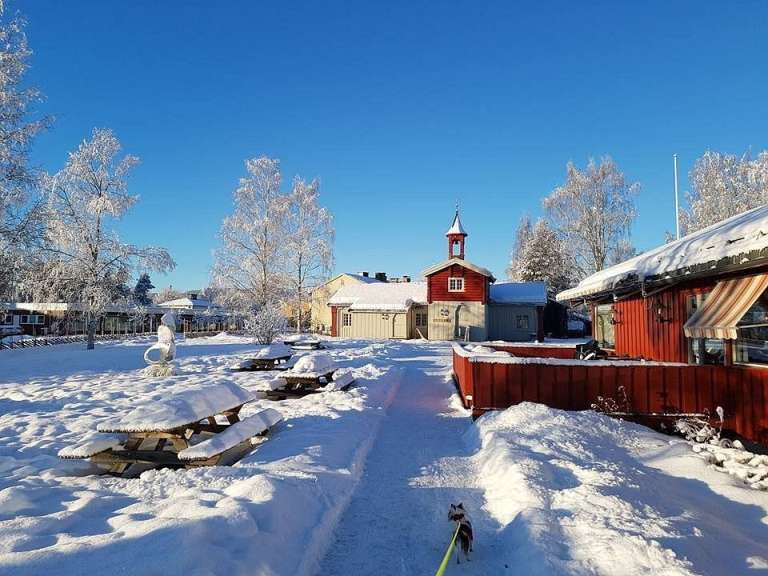 Sonniger Wintertag
