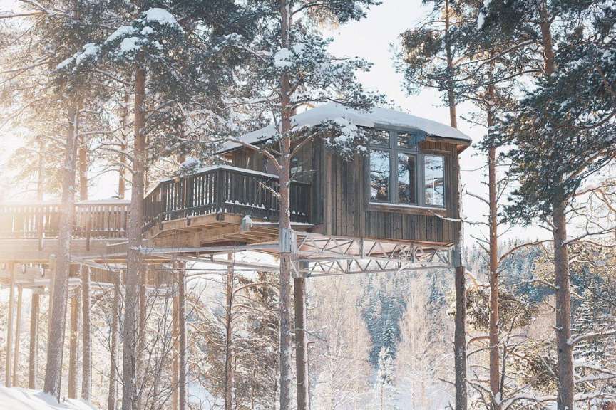 Tree-Hotel in der Wintersonne